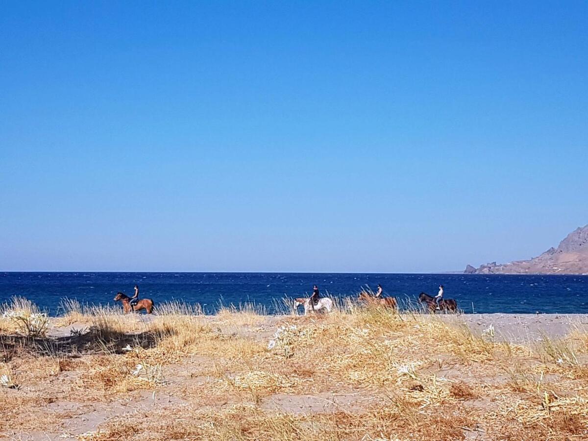 Annamaria Sea Side View Studio- 25M From The Beac Plakias Exterior foto